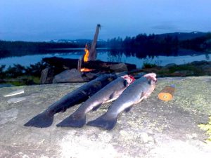 Fiske i sommarnatten i Hotagsbygden. Foto Eva-Britt Jonsson