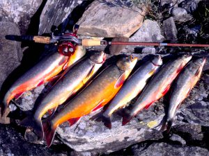 Lyckat rödingsfiske i Hotagsbygden. Foto Kjell-Erik A
