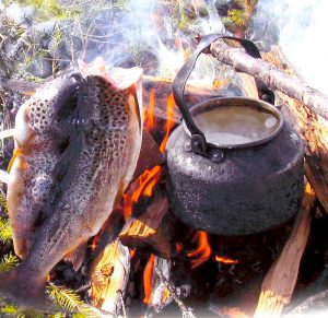 Nyfångad öring & kokkaffe. Foto Hotagenkortet