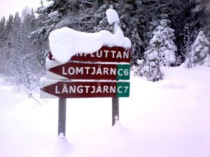 Skyltar i vinterskrud någonstans i Hotagsbygden. Foto Maritha Grelsson