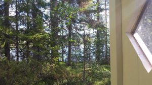 Stuga Stillheten utsikt från utedass Foto Stilla Dagar